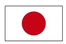 UAE flag